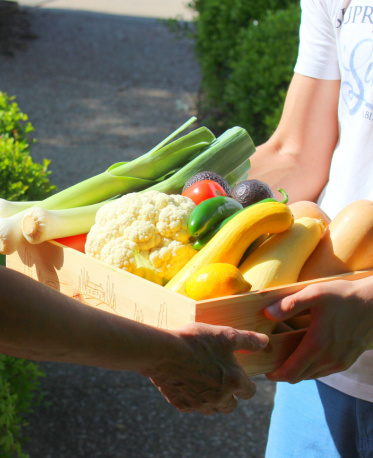 Shutterstock_1731675538