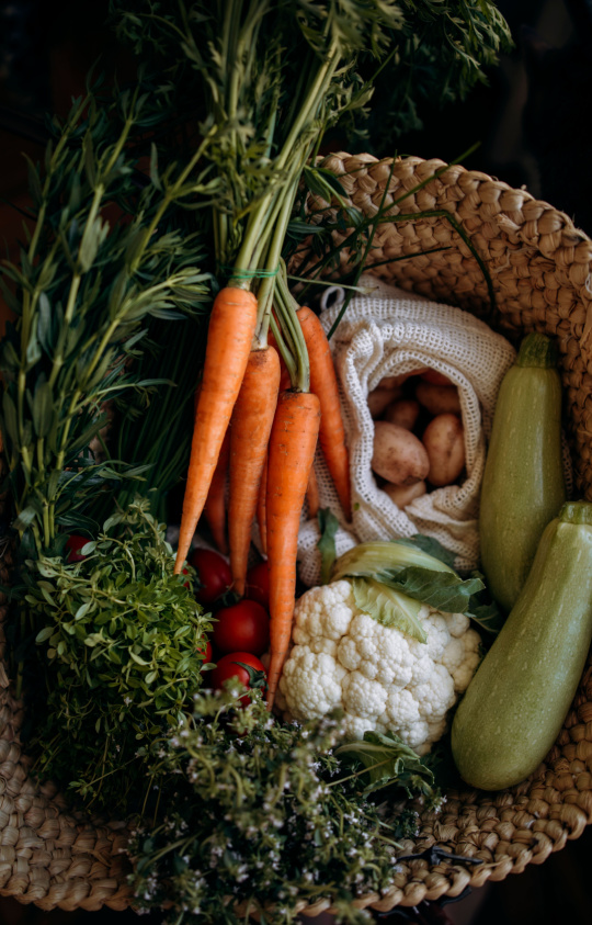 Shutterstock_2019581027