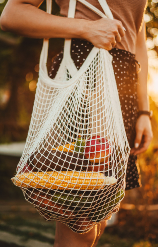 Shutterstock_2278469779