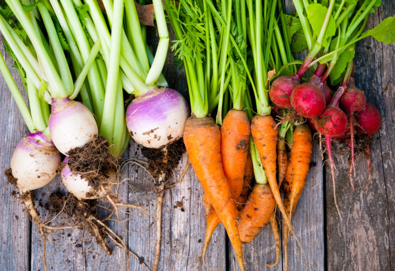 Shutterstock_91774463 (1)